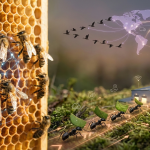 نحل ونمل وطيور يطبّقون أنظمة لوجستية ذكية في الطبيعة تشبه سلاسل الإمداد العالمية